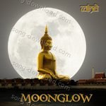 Moonglow - Zaalima Song Download